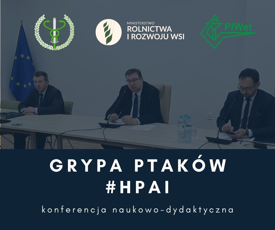 Grypa ptaków - występowanie, zwalczanie, zasady 